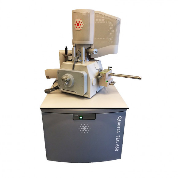 Сканирующий микроскоп FEI MLA 650 FEG Сканирующий микроскоп FEI MLA 650 FEG